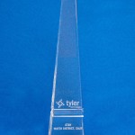 Tyler Public Sector Award - Award for the Public Sector Excellence 2013