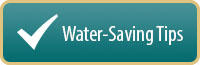 Water-saving tips